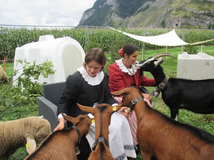 Frumuseti deosebite-pp6yh