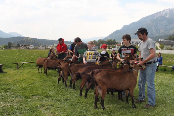 Frumuseti fara cuvinte-9d44