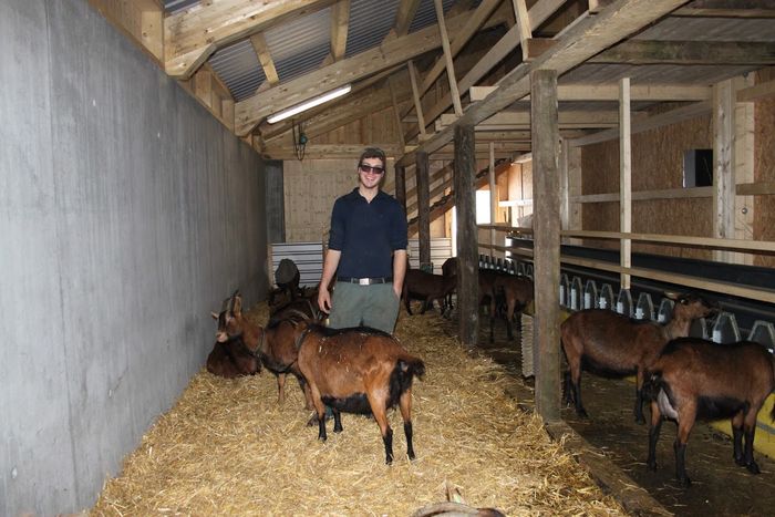 Zambet satisfacator-8435