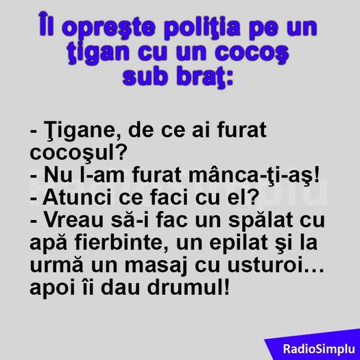 13934581_1091800434190780_2942418010540947866_n - Diverse