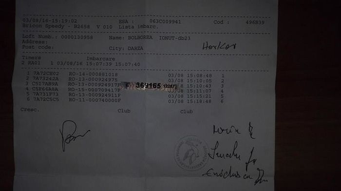 13936692_1084007095006710_482148990_n