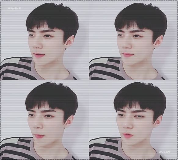 ╳ 357 days l 09.08.2016 ╳