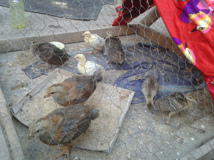 14707575722491605412841