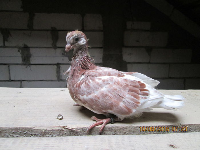 acum suntem grupa mijlocie....