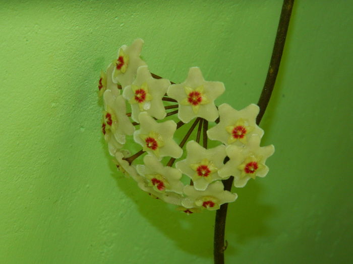 DSCN3188