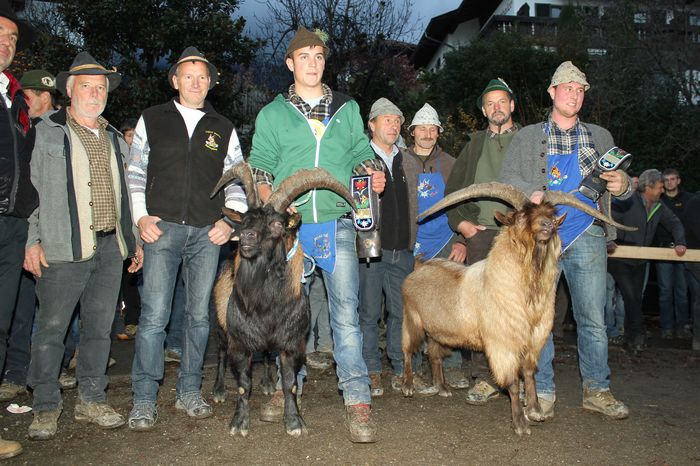 Castigatorii premiati