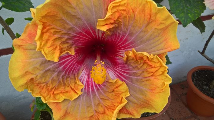 WP_20160810_14_49_04_Pro