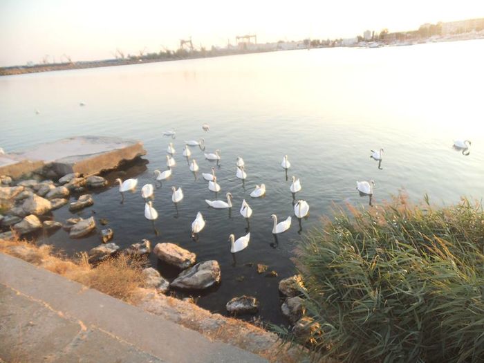 13920775_503718986493054_6134226163316688683_n