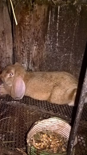 WP_20160809_20_53_40_Pro