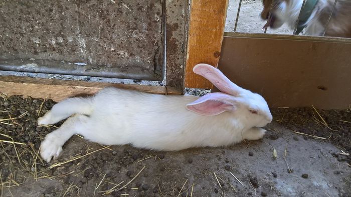 WP_20160810_16_52_45_Pro