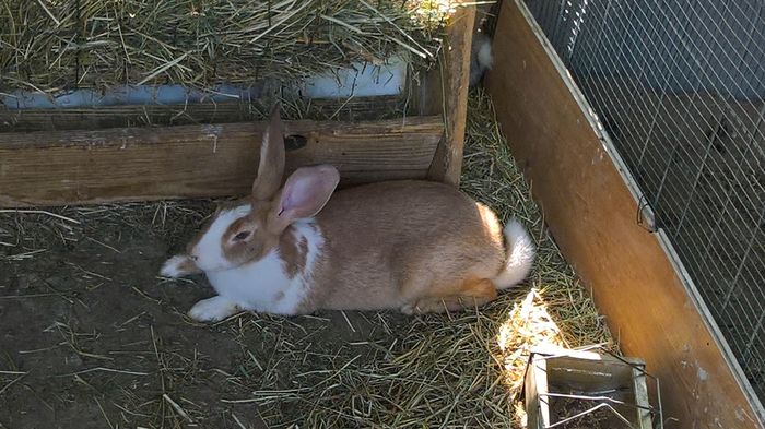 WP_20160810_16_51_27_Pro