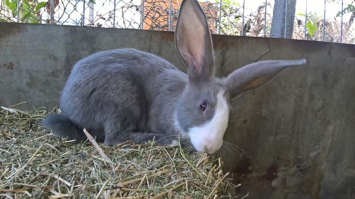 WP_20160810_16_50_08_Pro