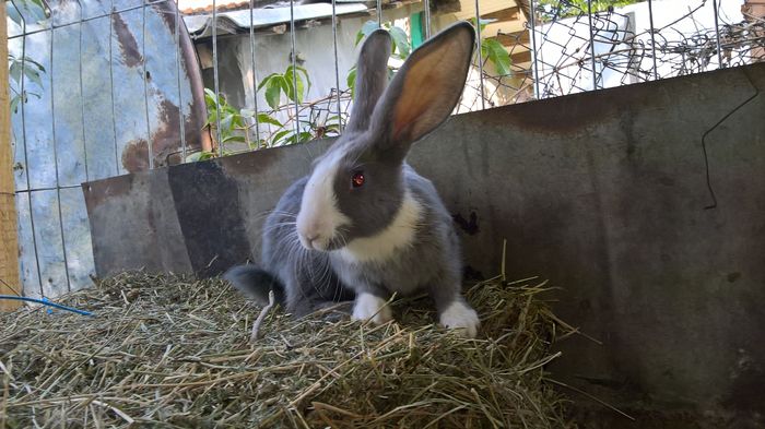 WP_20160810_16_49_53_Pro