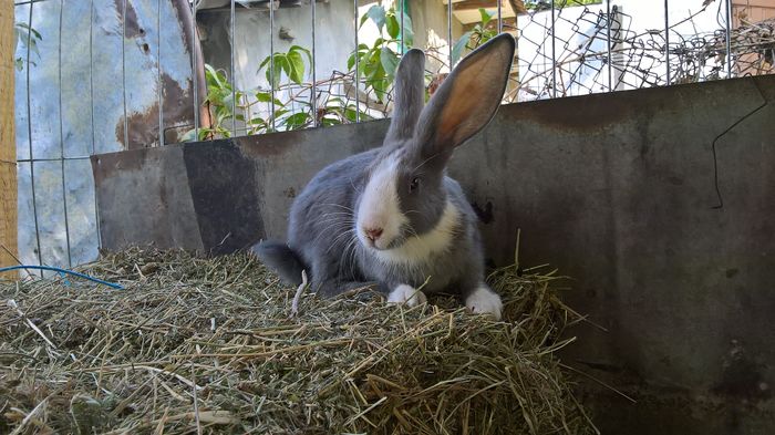 WP_20160810_16_49_58_Pro