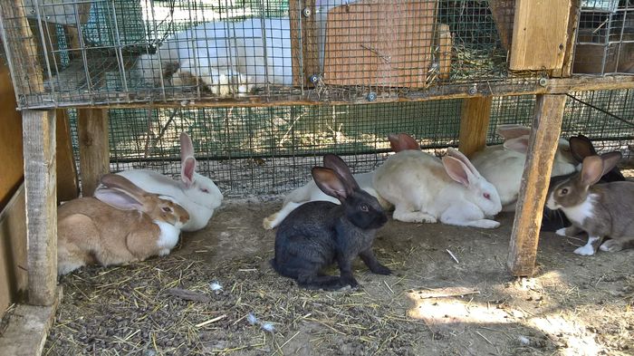 WP_20160810_16_49_05_Pro