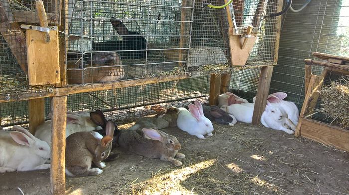 WP_20160810_16_49_09_Pro