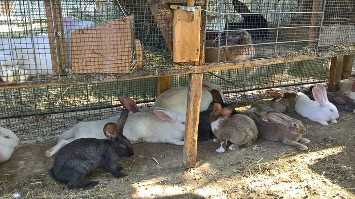 WP_20160810_16_49_00_Pro