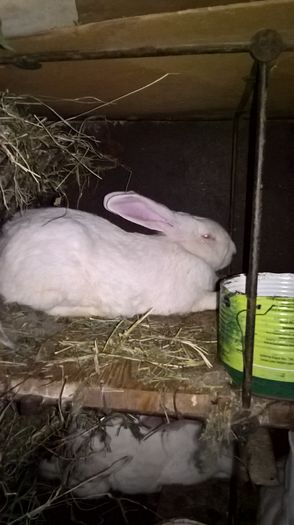 WP_20160809_20_50_37_Pro