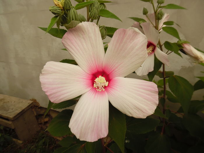 084