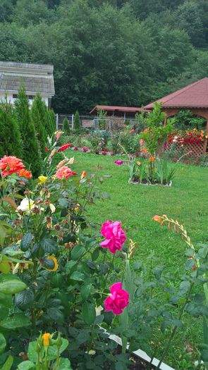 WP_20160811_10_23_28_Pro