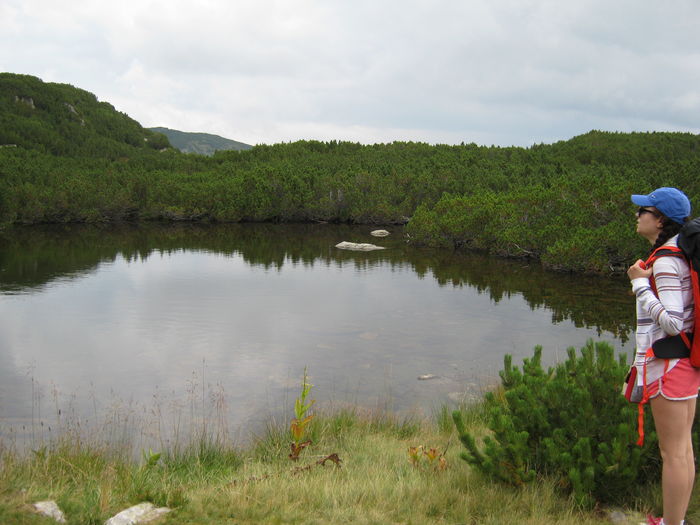 lacul Vidal