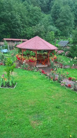 WP_20160812_15_17_06_Pro