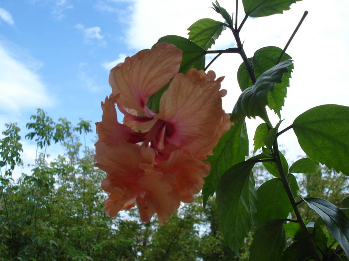 DSC06212