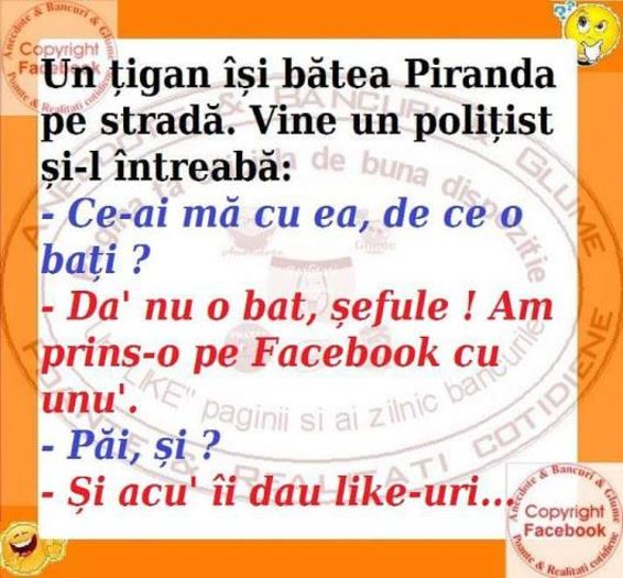 13177855_1782692565276256_5982223216872526285_n - Diverse