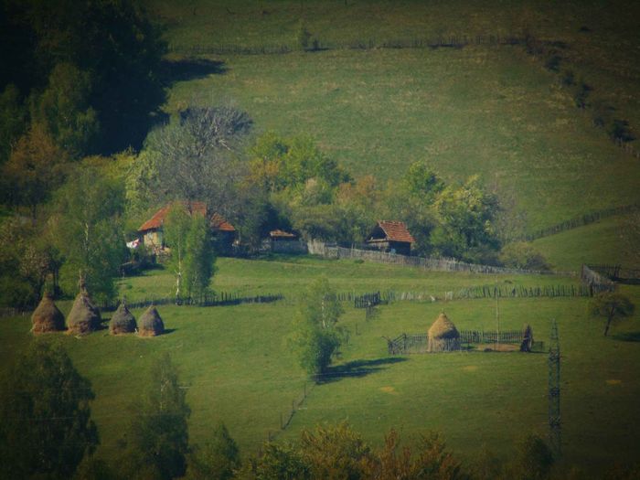 ZOOM TEST - Photo 02