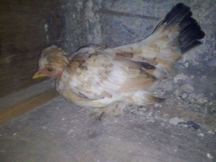 received_1757385771177124