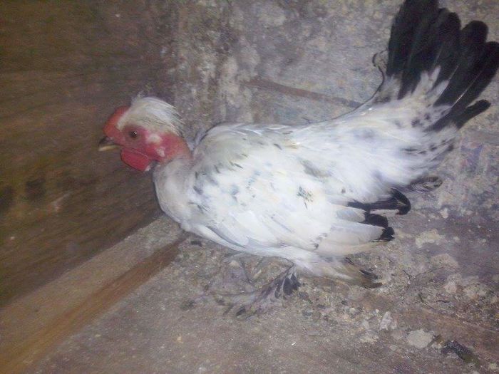 received_1757385764510458