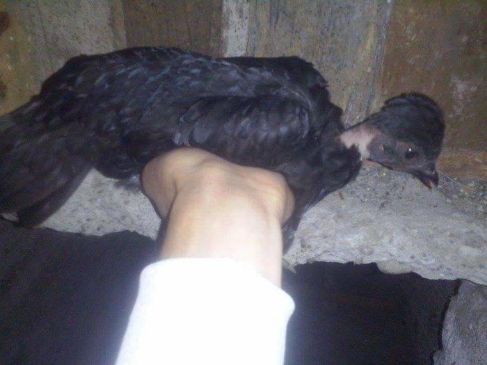 received_1757385601177141