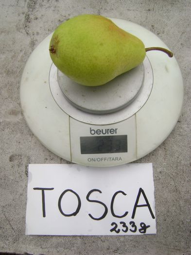 Tosca 10; Pere Tosca 233g.
