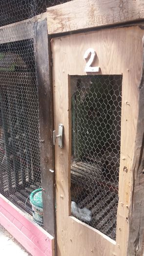 Compartiment castanii