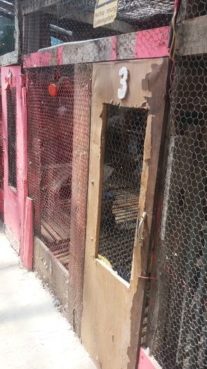 Compartiment pesc%u0103ru%u015F german