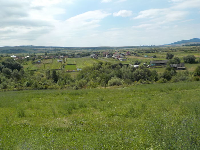 DSCN1324[1]