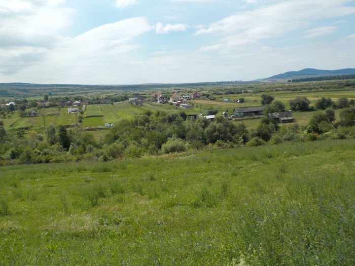 DSCN1330[1]