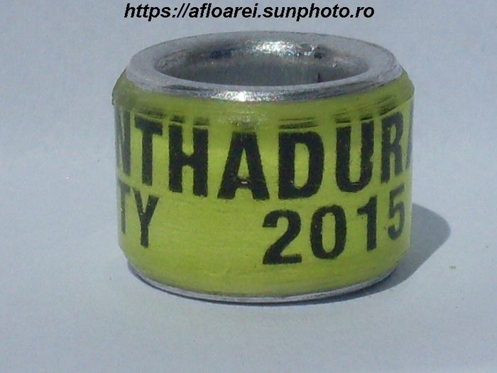 CINTHADURAI TUTY 2015 - INDIA