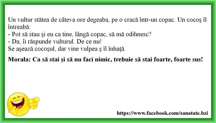 11705316_1127519457264404_8064022069468316215_n - Diverse