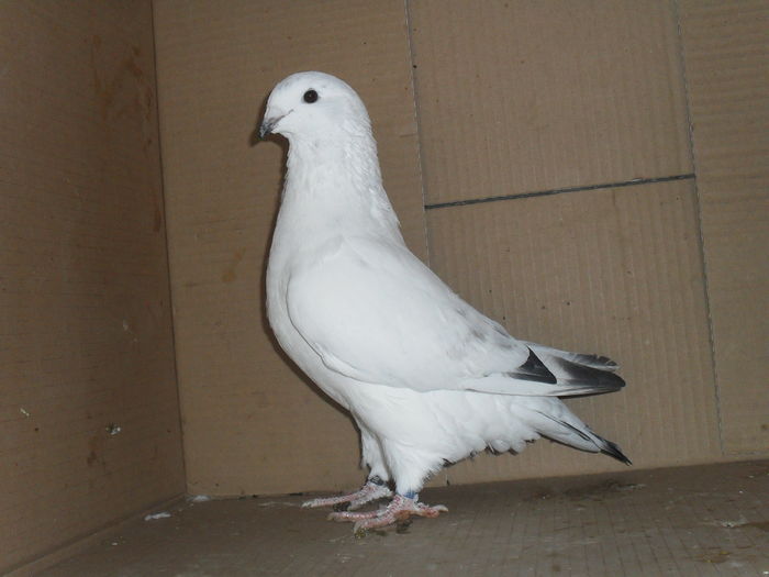073