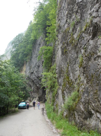 Excursie Arnota 109 - Anul 2016