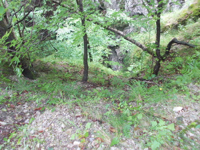 Excursie Arnota 110 - Anul 2016