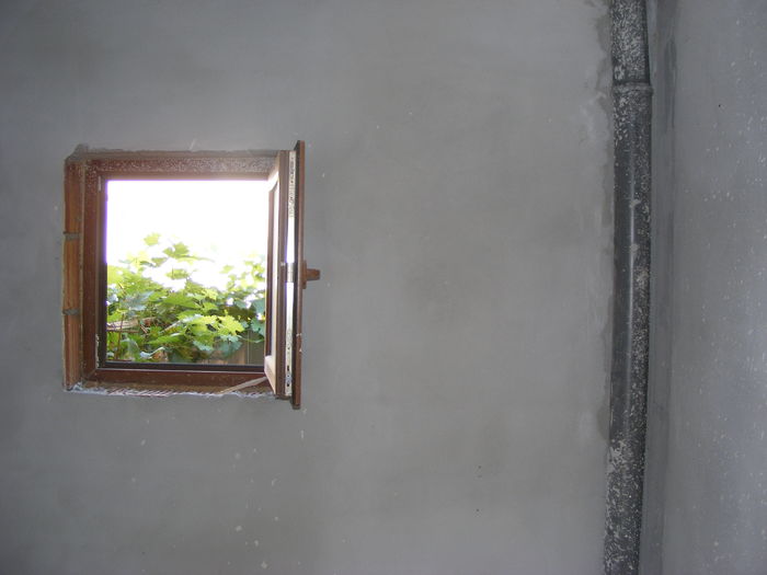 Picture 1695 - NOUL DOMICILIU