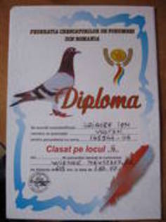 diploma