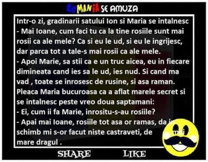 13882487_641339782695224_5045637497737191153_n - Diverse