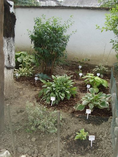 x crampeie din gradinita (2)