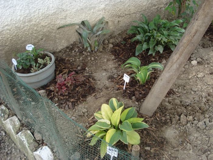 x crampeie din gradinita (3)