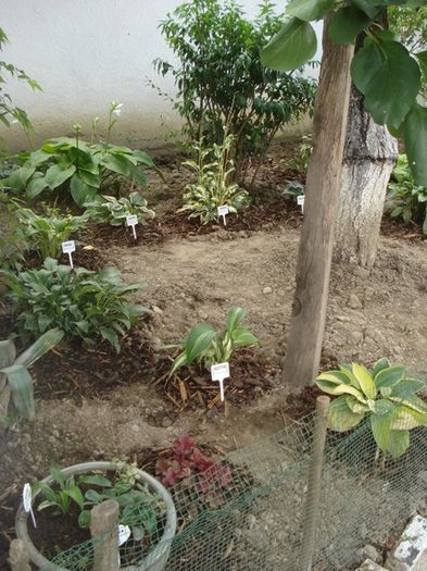 x crampeie din gradinita (4)