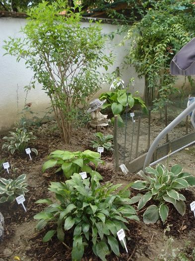 x crampeie din gradinita (9)