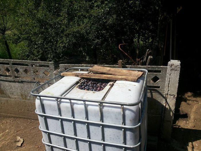 ”un bidonaș” de 1000 l - Fructe din gradina mea